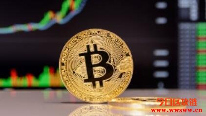 Bitcoin令我明白到知识根本是垃圾